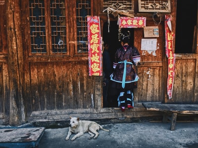 图聚科技